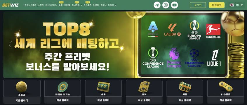 벳위즈 도메인